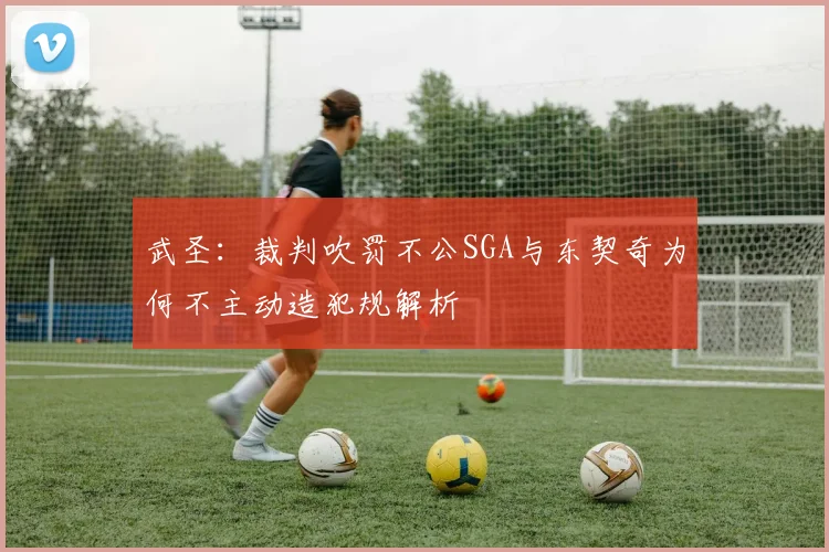 武圣：裁判吹罚不公SGA与东契奇为何不主动造犯规解析