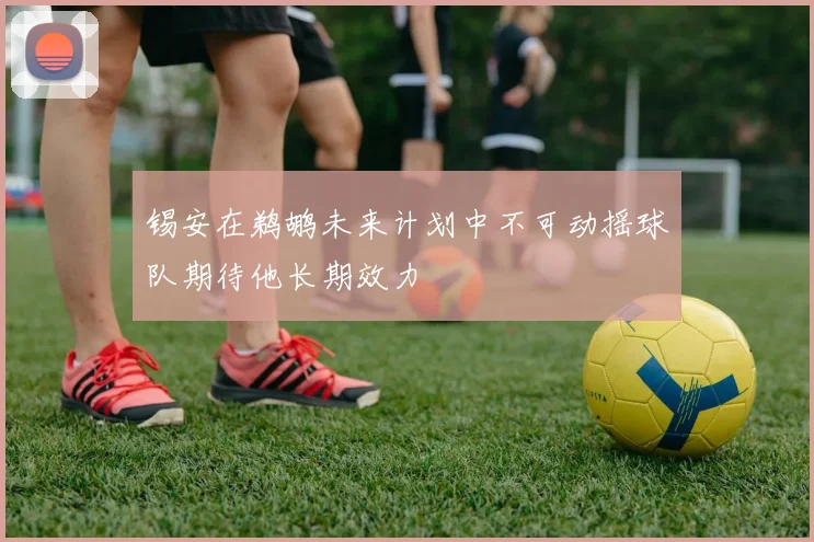 锡安在鹈鹕未来计划中不可动摇球队期待他长期效力